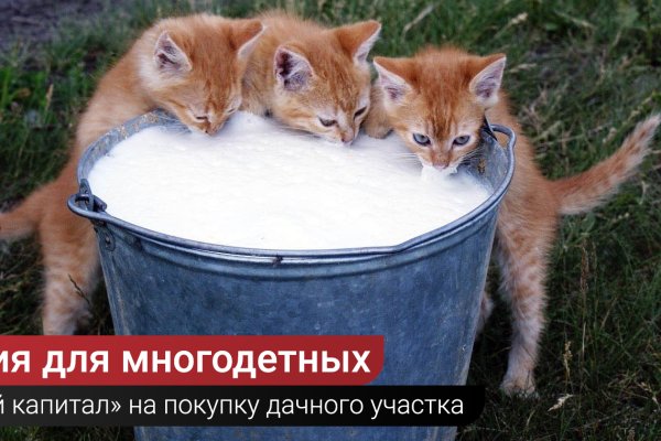 Не заходит на кракен